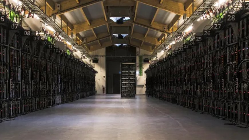 Penambang Bitcoin Raup Untung Tertinggi Sejak Halving April 2024